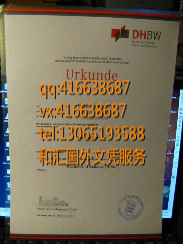 德国巴登符腾堡双元制应用技术大学毕业证 Duale Hochschule Baden- Württemberg certificate