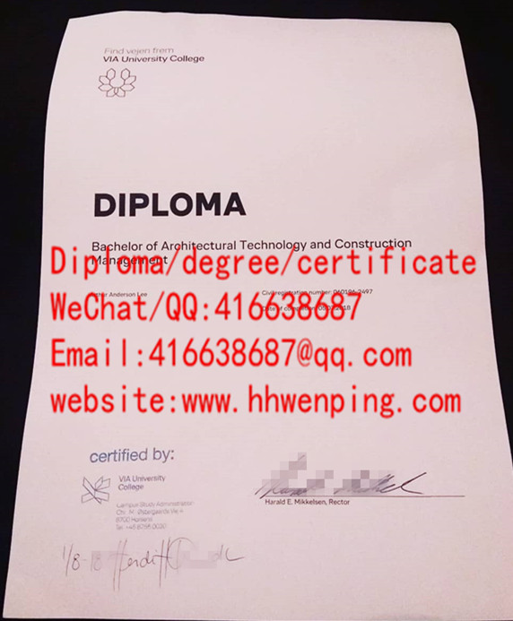 丹麦VIA大学学院学士学位VIA University College（VIA）bachelor degree
