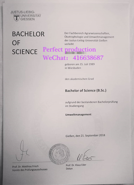 德国吉森大学本科学位Justus-Liebig-Universität Gießen bachelor urkunde