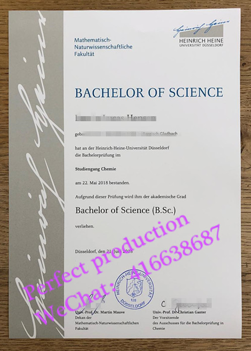 杜塞尔多夫大学学士学位Universitat Dusseldorf bachelorurkunde